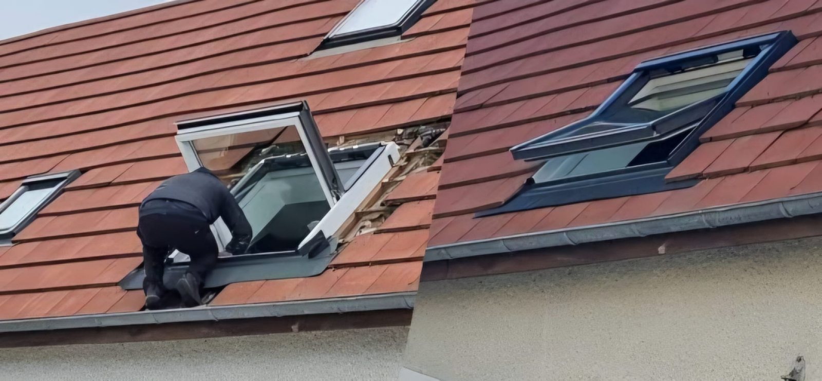 Couvreur de PFP Rénovation posant une fenêtre de toit, à genoux dans l'ouverture du toit.